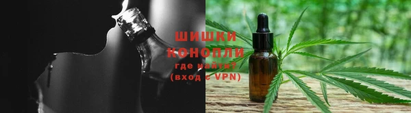 стафф Покачи