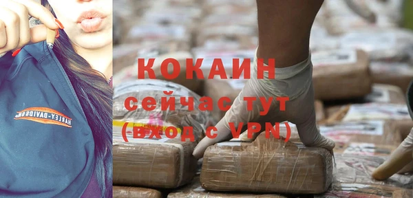 стафф Покачи