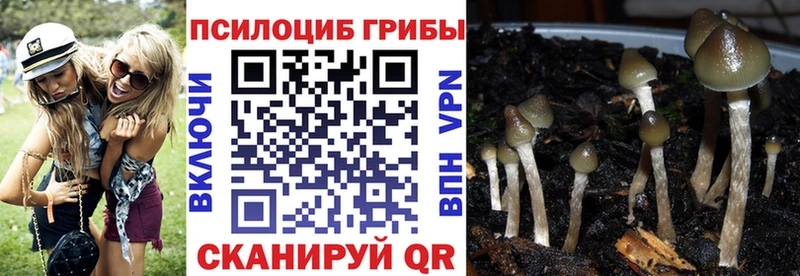 blacksprut tor Туапсе Галлюциногенные грибы мухоморы
